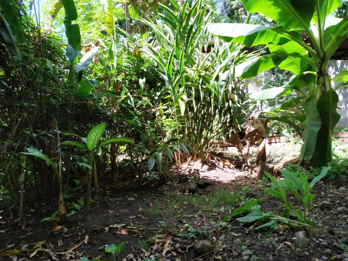 Villa Koulè bô kay  à Le Carbet Extérieur photo